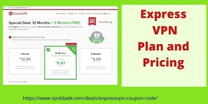 Express VPN Plan and Pricing