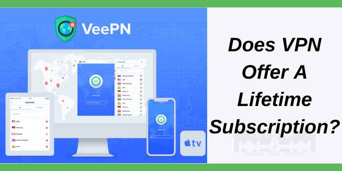 VeePN Lifetime Subscription Plan