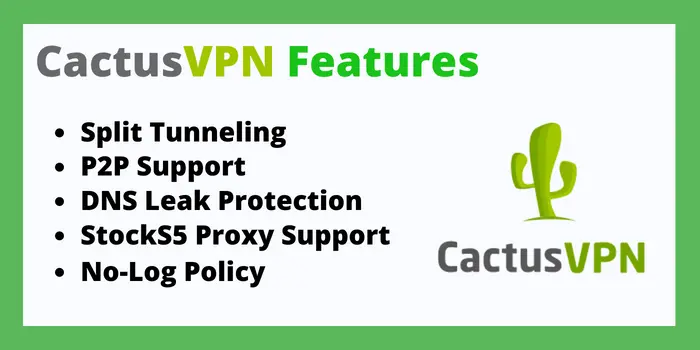 Features of cactusVPN