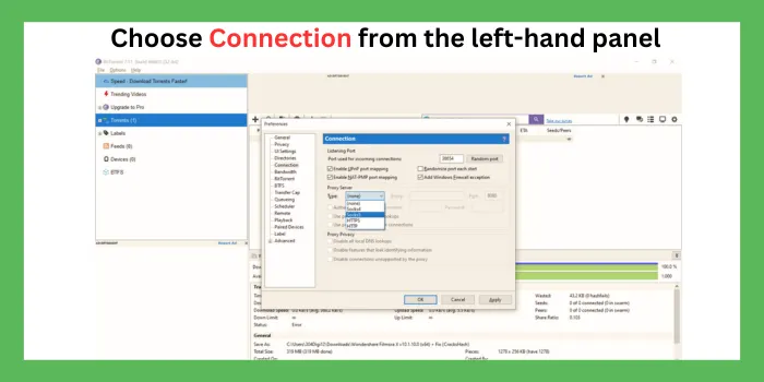 Choose Connection from the left-hand panel