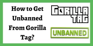 How to get unbanned from Gorilla Tag