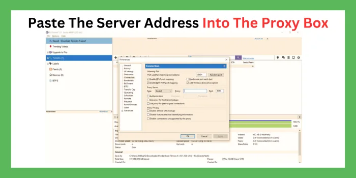 Paste The Server Address Into The Proxy Box 