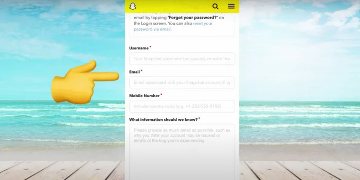 Snapchat Unban Form Fill On Phone