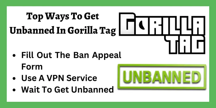 Top Ways To Get Unbanned In Gorilla Tag