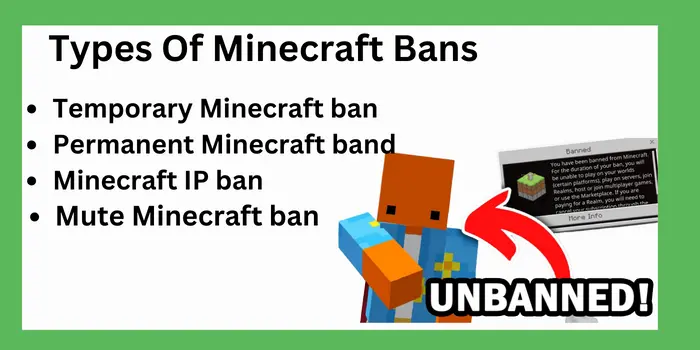 Types Of Minecraft Bans