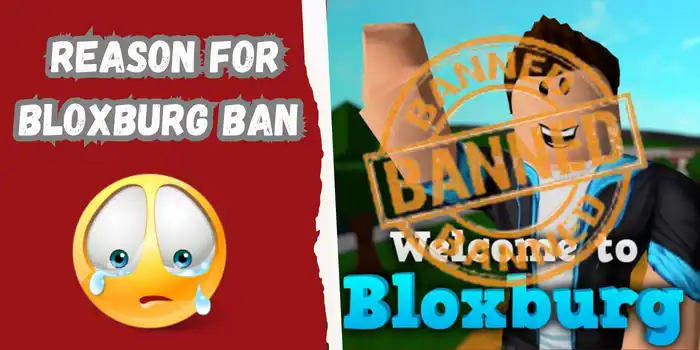 reason for getting ban on Bloxburg