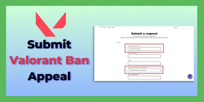 Submit Valorant Ban Appeal
