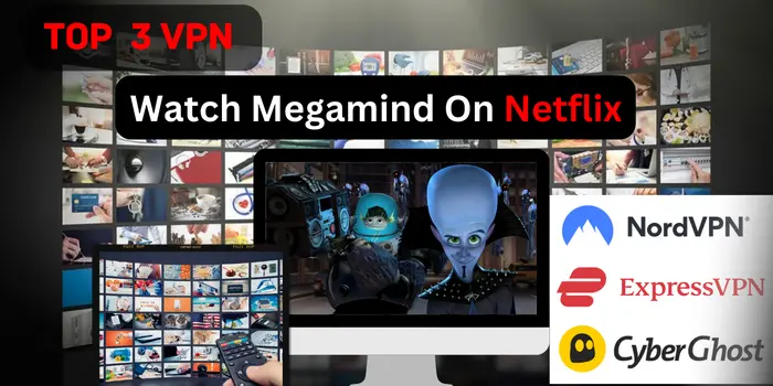 3 Best VPN to Watch Megamind on Netflix